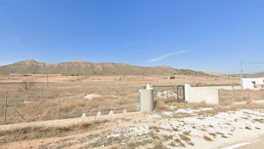 Venta - Land - Abanilla - Canada De La Lena