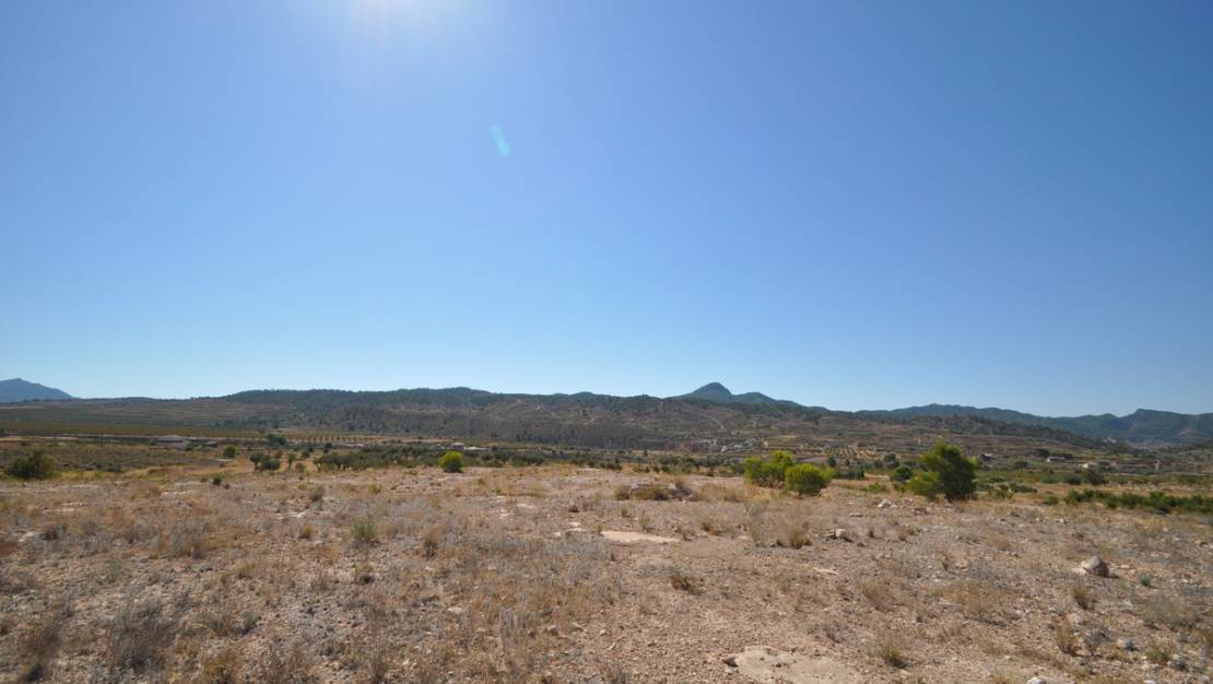 Venta - Land - Abanilla - Macisvenda