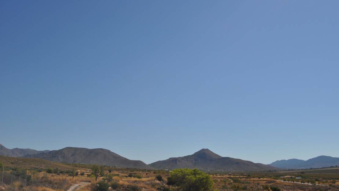 Venta - Land - Abanilla - Macisvenda