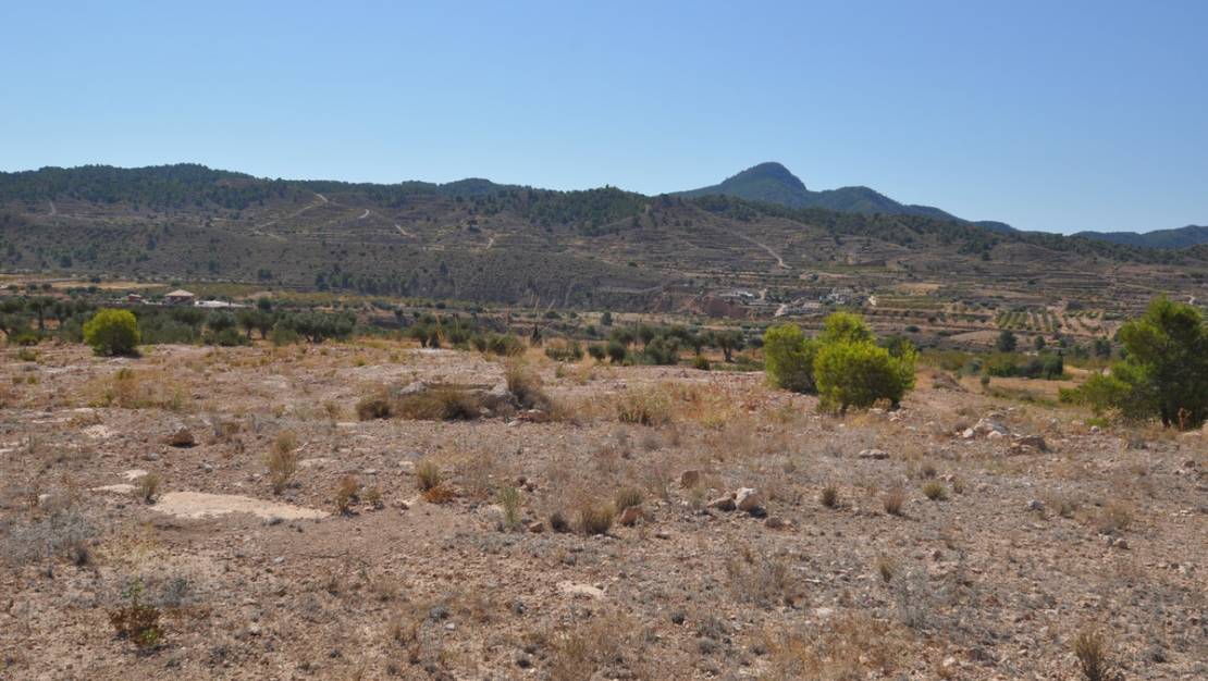 Venta - Land - Abanilla - Macisvenda