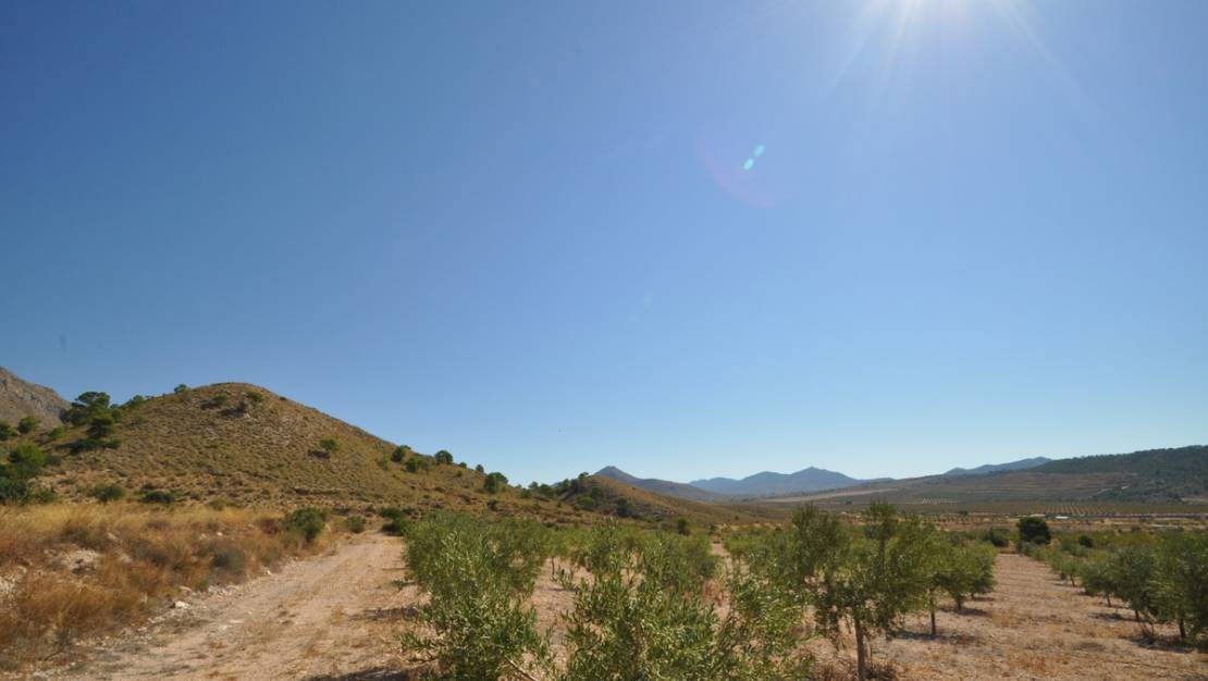 Venta - Land - Abanilla - Macisvenda