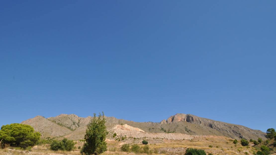 Venta - Land - Abanilla - Macisvenda