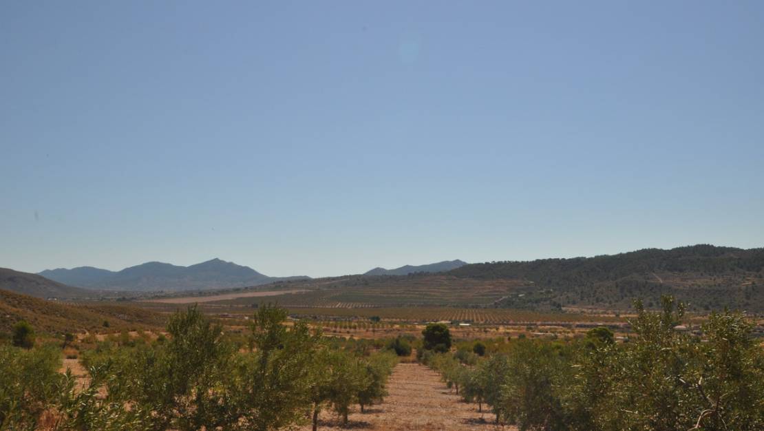 Venta - Land - Abanilla - Macisvenda