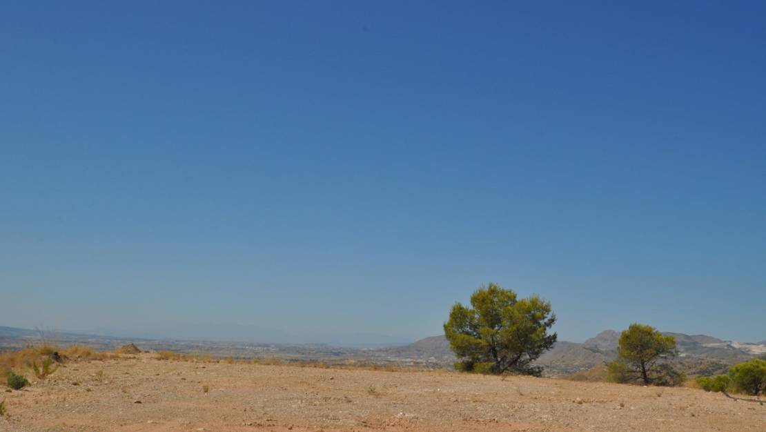 Venta - Land - Abanilla - Macisvenda