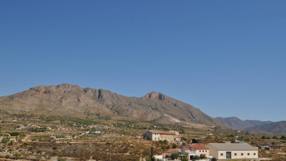 Venta - Land - Abanilla - Macisvenda