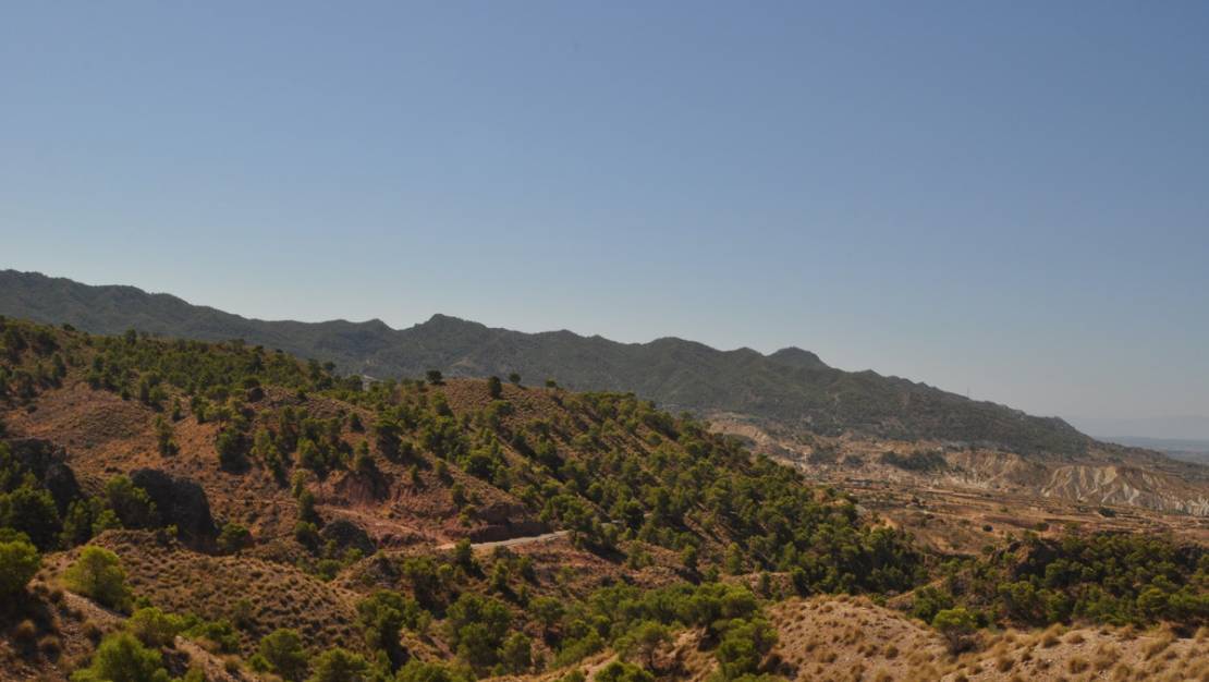 Venta - Land - Abanilla - Macisvenda