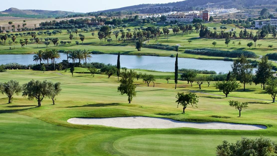 Venta - Land - Algorfa - Algorfa Centro