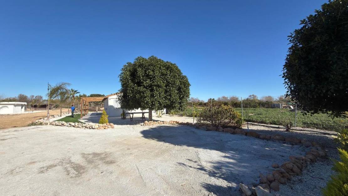 Venta - Land - Algorfa - Algorfa Centro