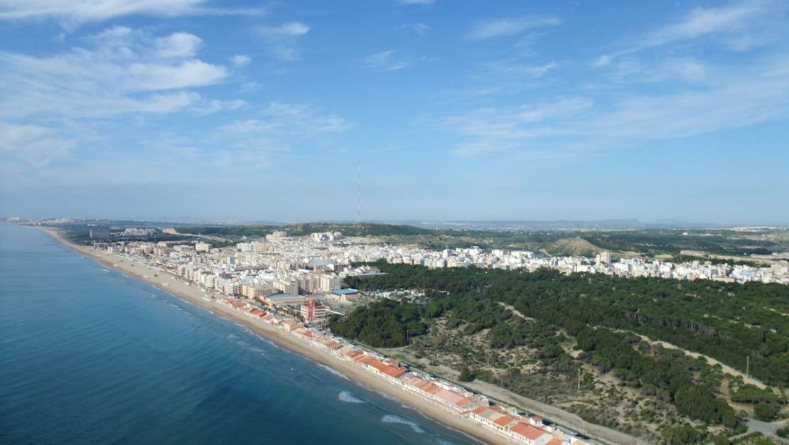 Venta - Land - Algorfa - Algorfa Centro