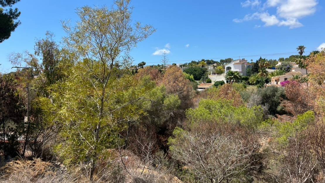 Venta - Land - Algorfa - Montemar