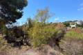 Venta - Land - Algorfa - Montemar