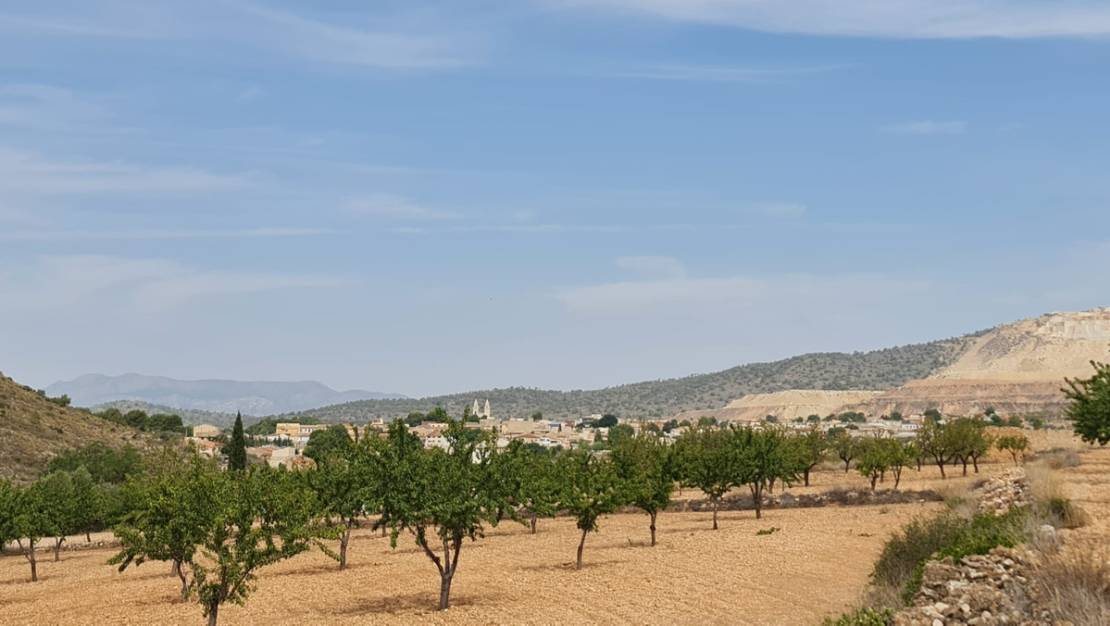 Venta - Land - Algueña