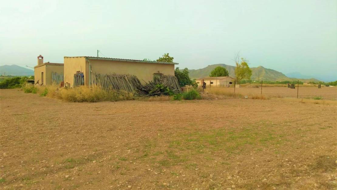 Venta - Land - Aspe - Aspe Centro