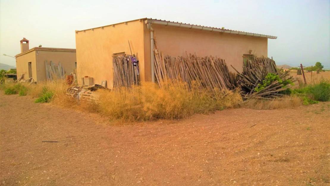 Venta - Land - Aspe - Aspe Centro