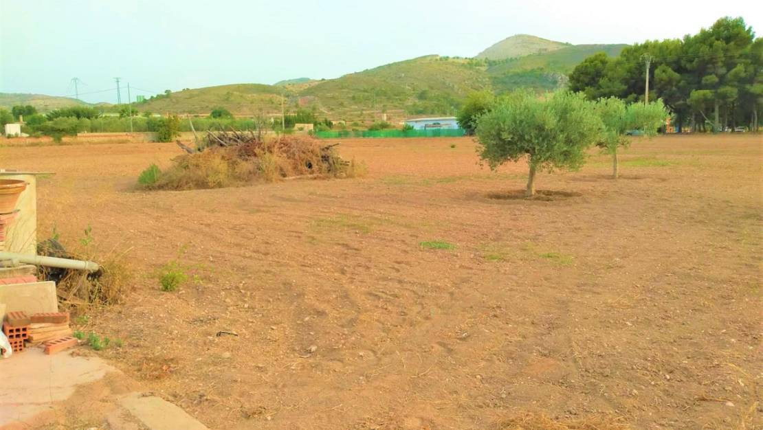 Venta - Land - Aspe - Aspe Centro