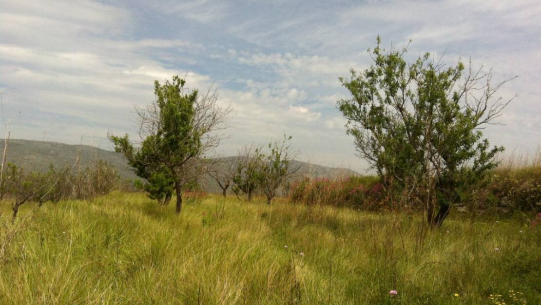 Venta - Land - Benissa - Benissa Centro