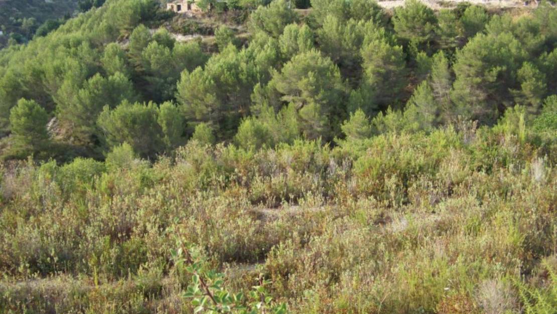 Venta - Land - Benissa - Benissa Centro