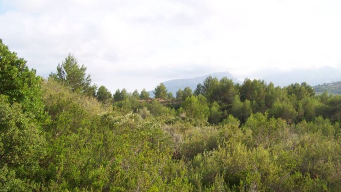 Venta - Land - Benissa - Benissa Centro