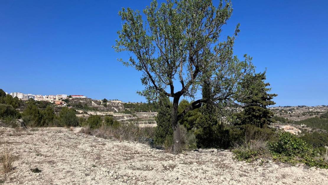 Venta - Land - Benissa - Benissa Centro