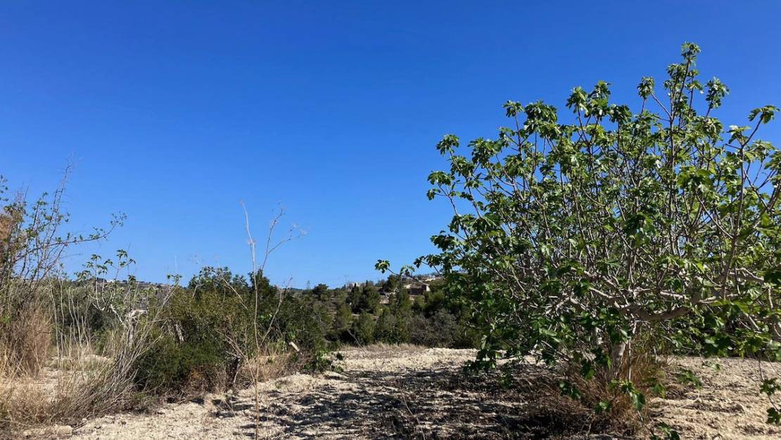 Venta - Land - Benissa - Benissa Centro