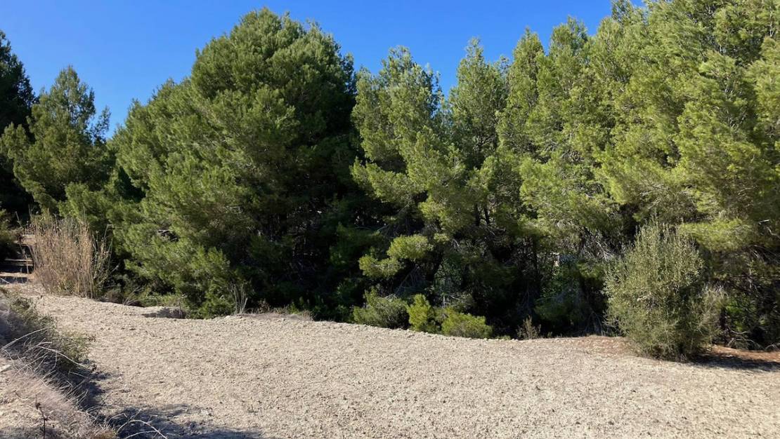 Venta - Land - Benissa - Benissa Centro