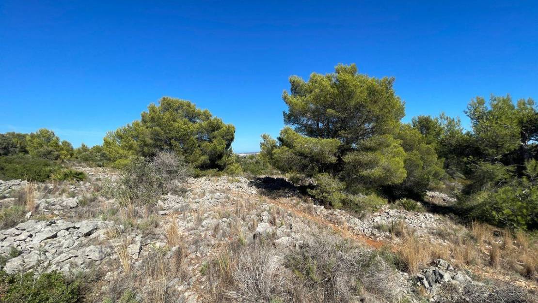 Venta - Land - Benissa - Benissa Centro