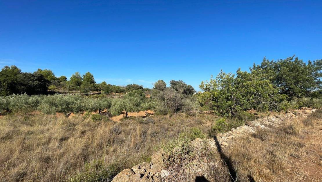 Venta - Land - Benissa - Benissa Centro