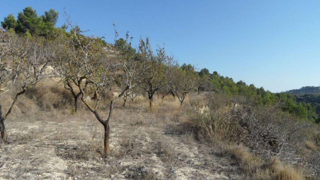 Venta - Land - Benissa - Benissa Centro