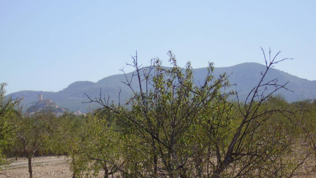 Venta - Land - Biar - Biar Centro