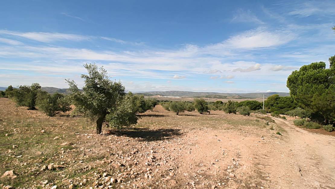 Venta - Land - Biar - Biar Centro