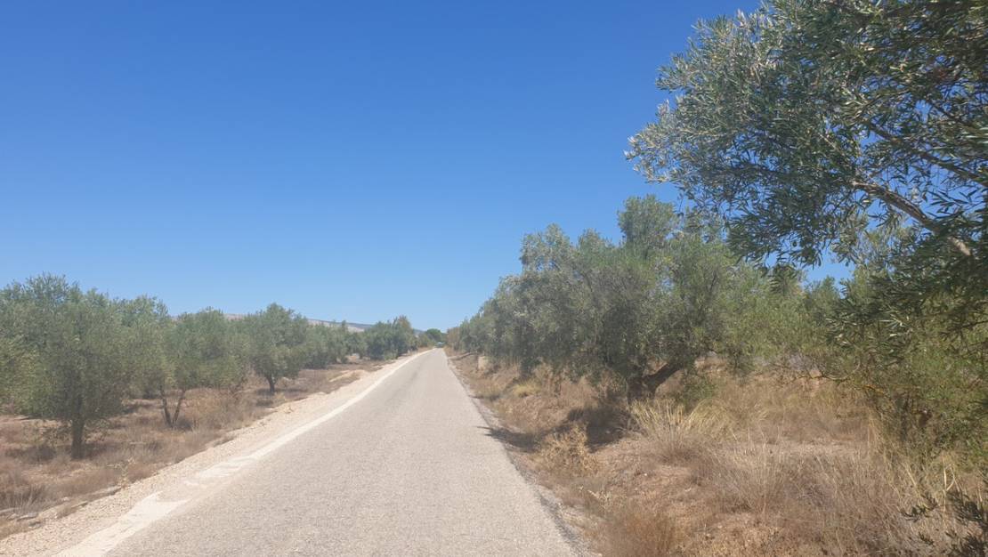 Venta - Land - Biar - Biar Centro