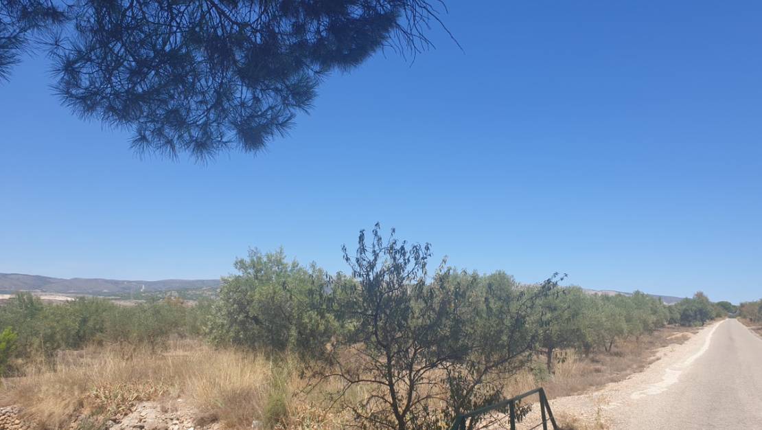 Venta - Land - Biar - Biar Centro