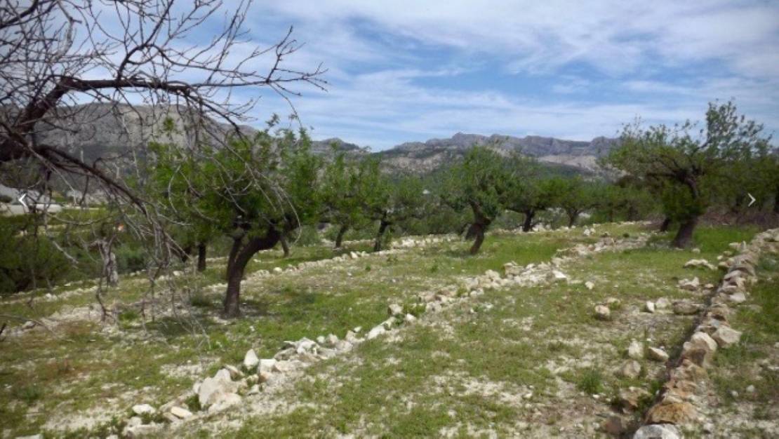 Venta - Land - Callosa d'en Sarria - Callosa d'en Sarria Centro