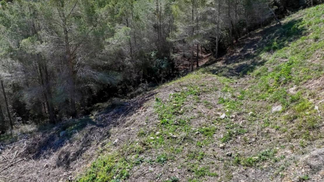 Venta - Land - Callosa d'en Sarria - Callosa d'en Sarria Centro