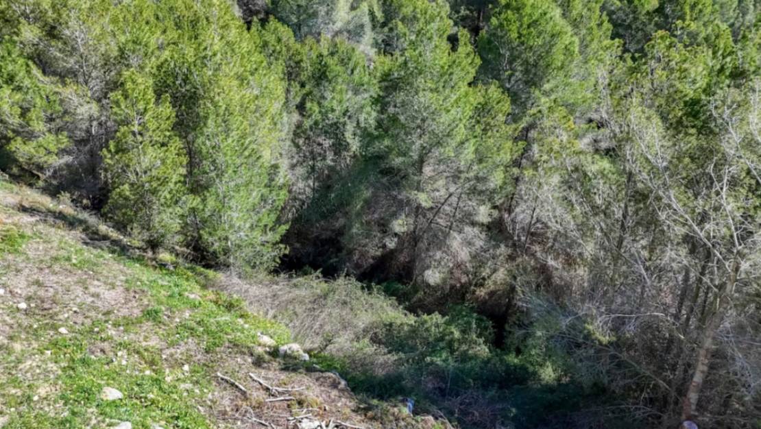 Venta - Land - Callosa d'en Sarria - Callosa d'en Sarria Centro