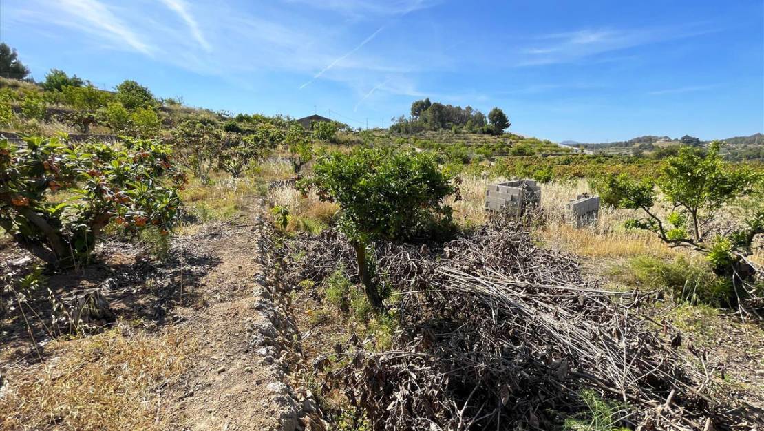 Venta - Land - Callosa d'en Sarria - Callosa d'en Sarria Centro
