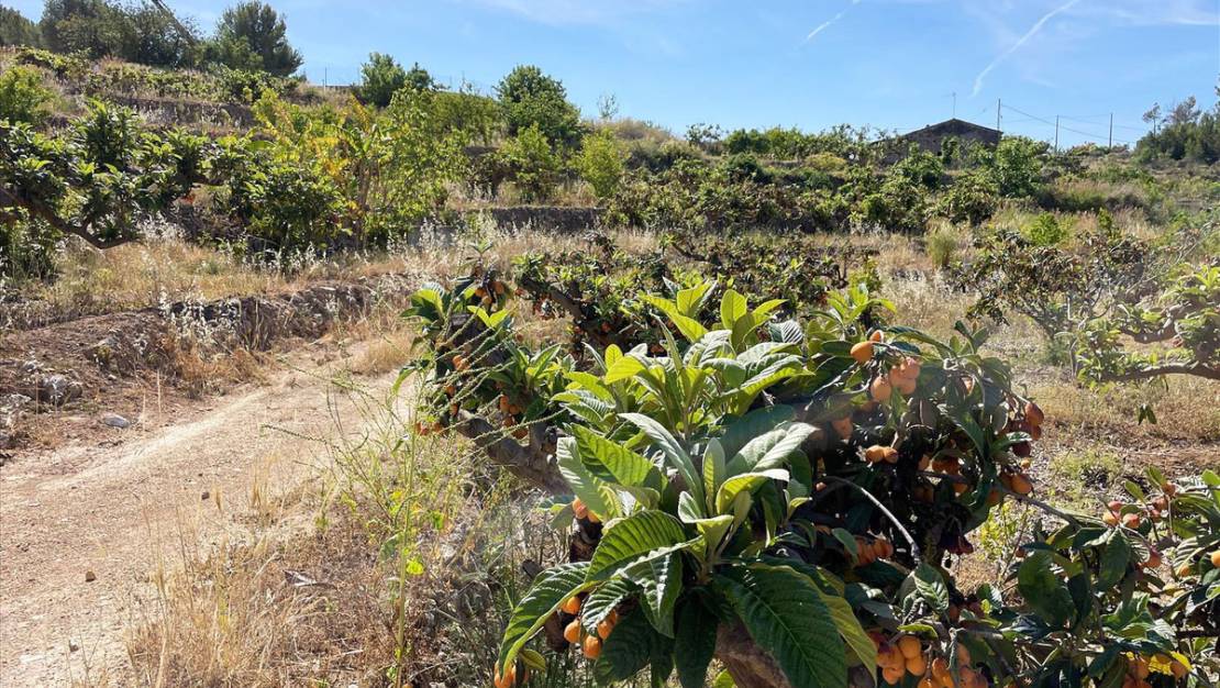 Venta - Land - Callosa d'en Sarria - Callosa d'en Sarria Centro
