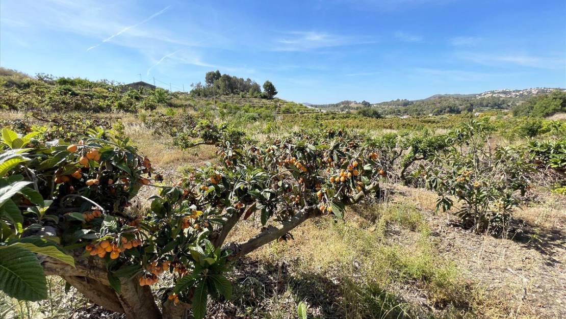 Venta - Land - Callosa d'en Sarria - Callosa d'en Sarria Centro