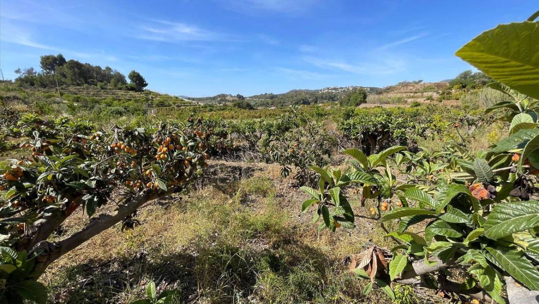 Venta - Land - Callosa d'en Sarria - Callosa d'en Sarria Centro