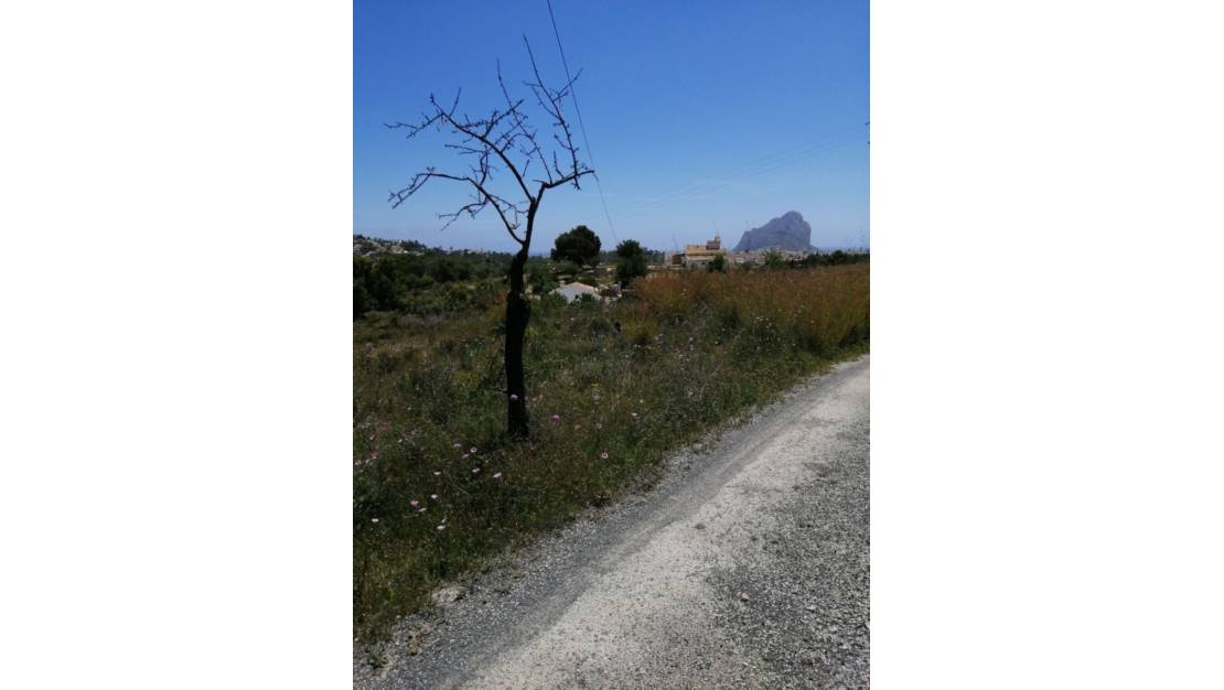 Venta - Land - Calpe - Calpe Centro