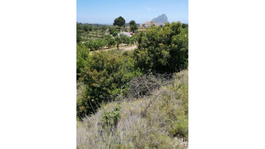 Venta - Land - Calpe - Calpe Centro