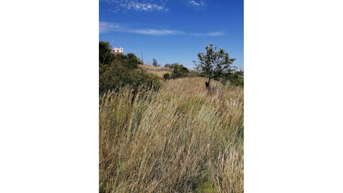 Venta - Land - Calpe - Calpe Centro