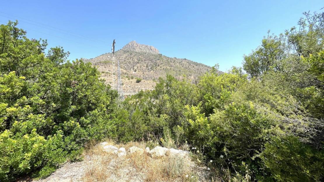 Venta - Land - Calpe - Calpe Centro