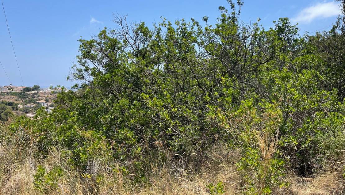 Venta - Land - Calpe - Calpe Centro