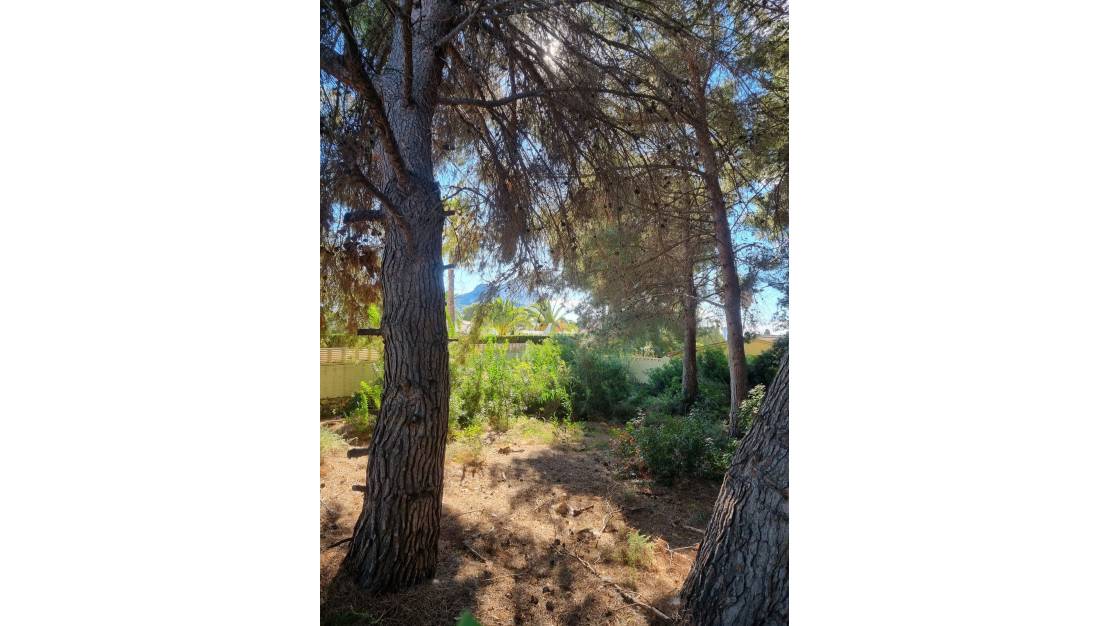 Venta - Land - Calpe - Calpe Centro