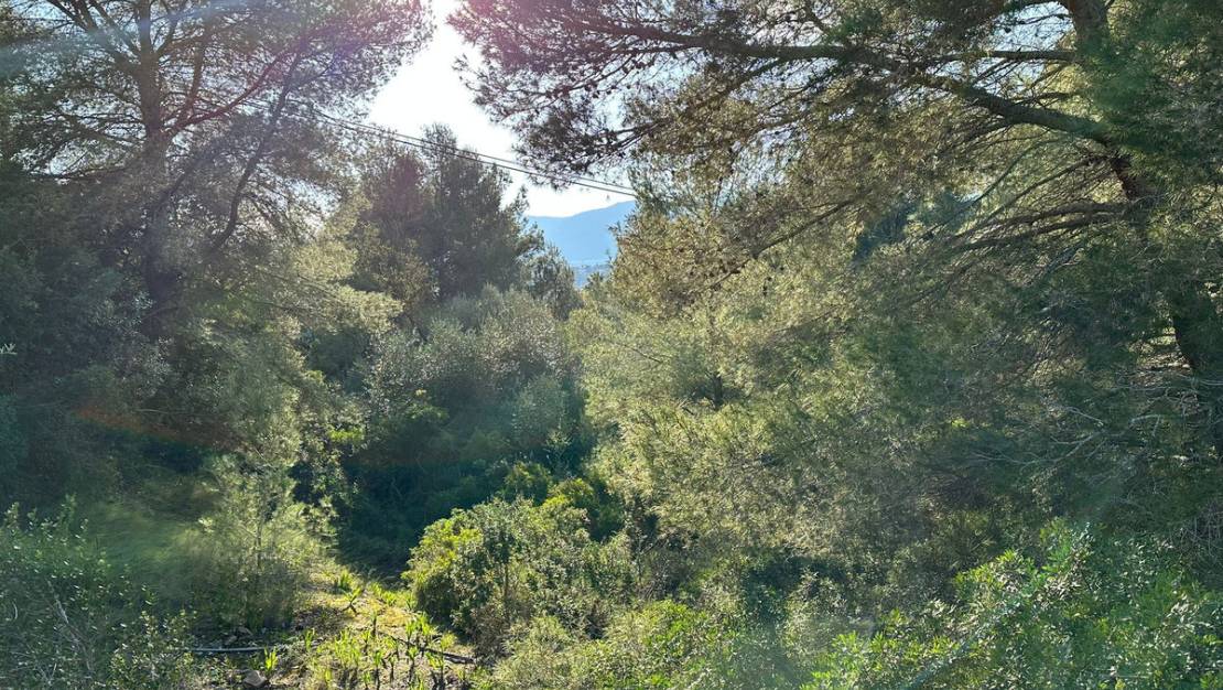 Venta - Land - Calpe - Calpe Centro