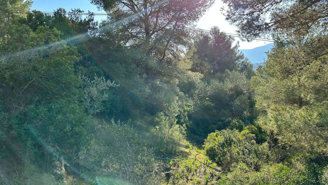 Venta - Land - Calpe - Calpe Centro