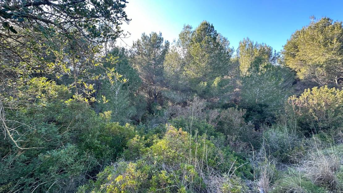 Venta - Land - Calpe - Calpe Centro