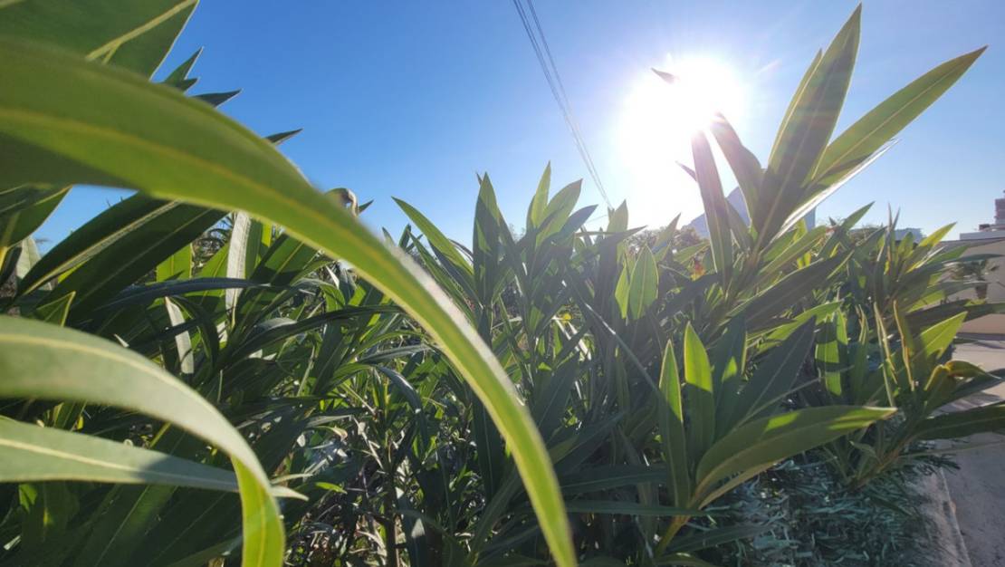 Venta - Land - Calpe - Calpe Centro