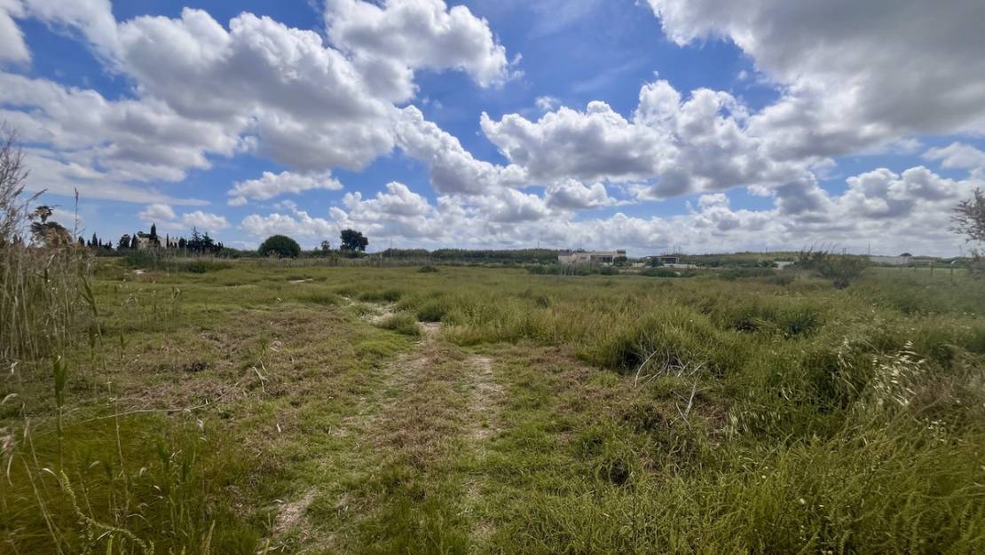 Venta - Land - Catral - Catral Centro